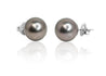 Classic 14K White Gold Tahitian Pearl Stud Earrings